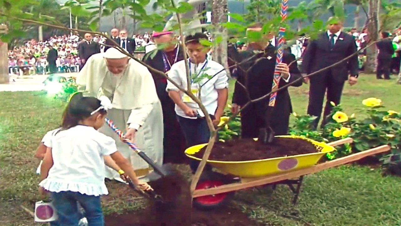 El Papa Francisco siembra un árbol como símbolo de paz