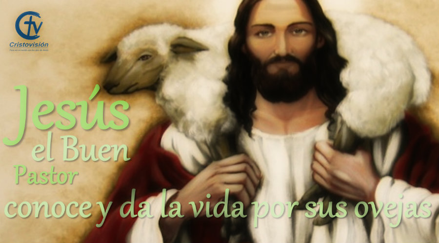 Jesús el Buen Pastor: conoce y da la vida por sus ovejas
