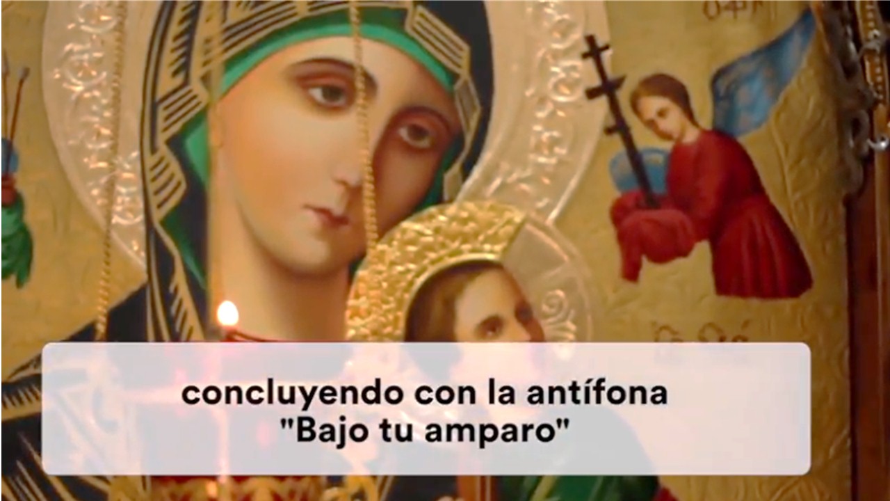VIDEO #10 DEL PAPA || Campaña especial para rezar el Santo Rosario por la Iglesia 